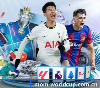 世界杯 APP 界面